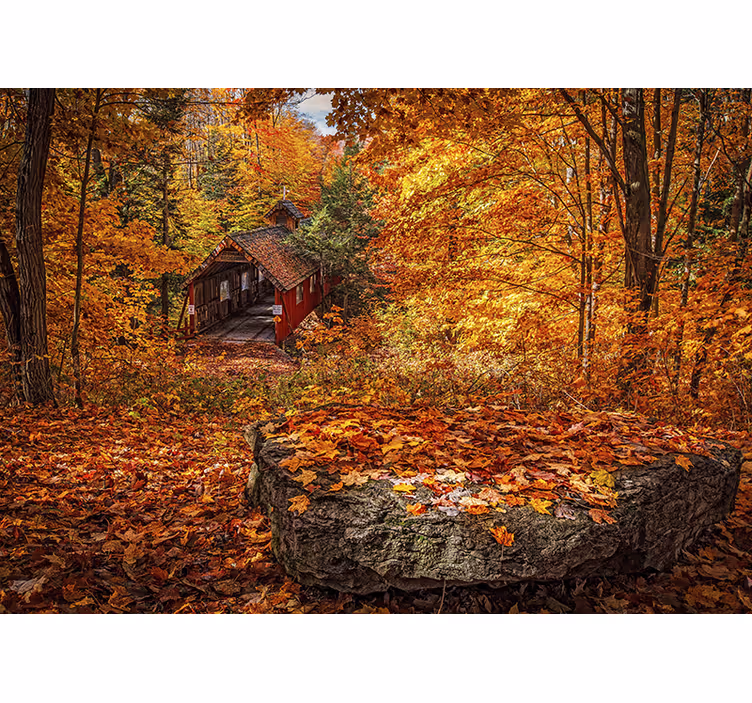 Fotomurale paesaggi ponte coperto d'autunno - TenStickers