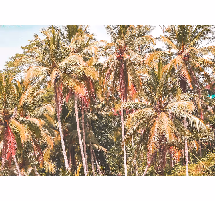 Fotomurali natura foresta di palme lussureggiante - TenStickers