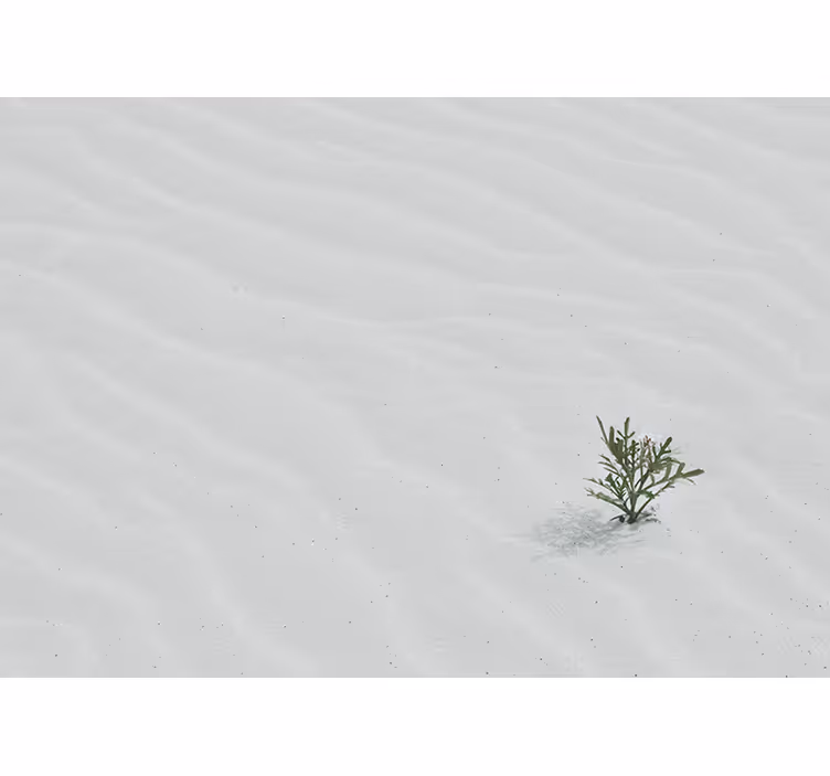 Fotomurali natura sabbia e verde - TenStickers
