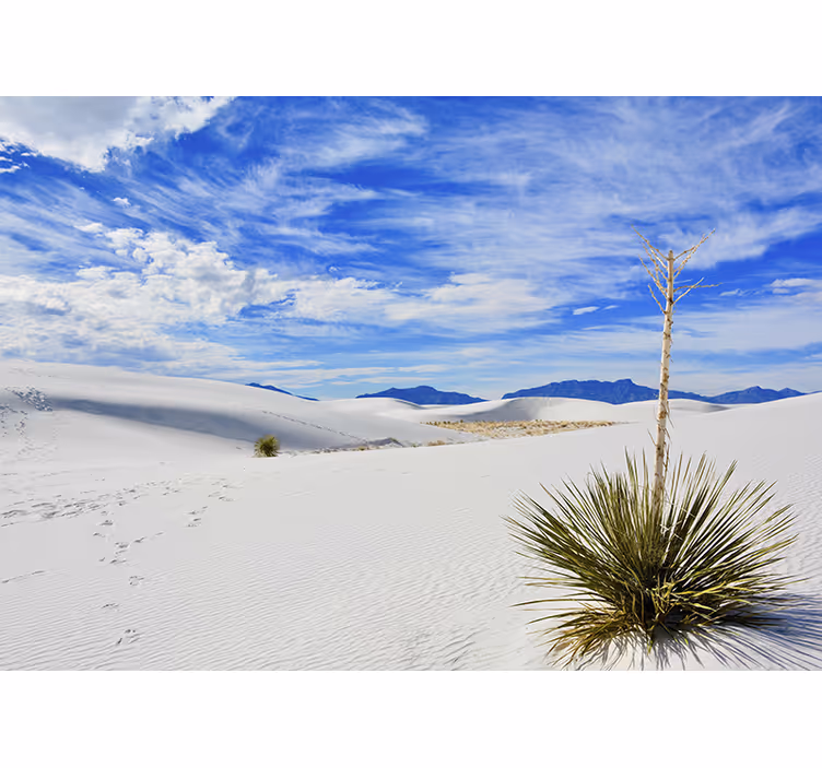 Fotomurale paesaggi vista deserto - TenStickers