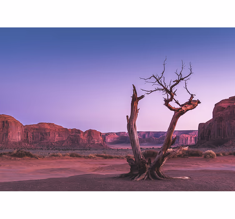 Fotomurale paesaggi struttura di pietra nel deserto - TenStickers