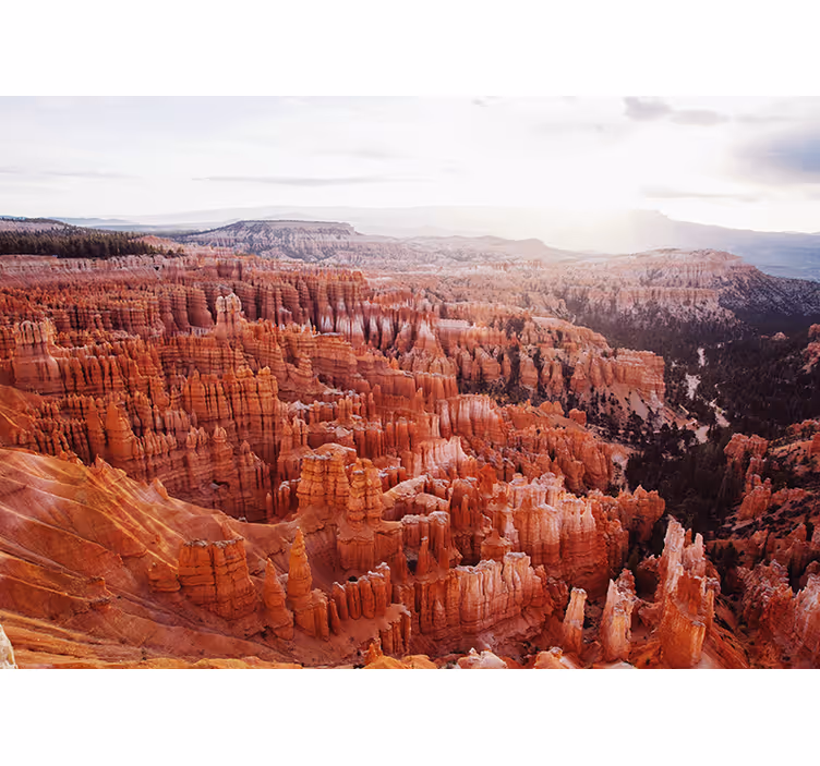 Fotomurale paesaggi vista del bryce canyon - TenStickers