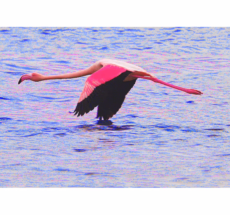 Fotomurali animali diversi fenicottero in volo - TenStickers