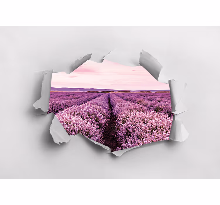 Fotomurale fiori vista campo di lavanda - TenStickers