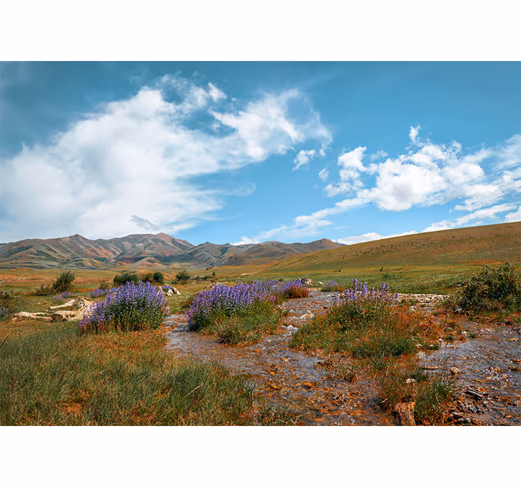 Fotomurali natura paesaggio montano vastissimo - TenStickers