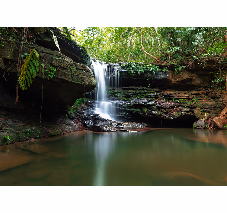 Fotomurali natura vista di una cascata tranquilla - TenStickers