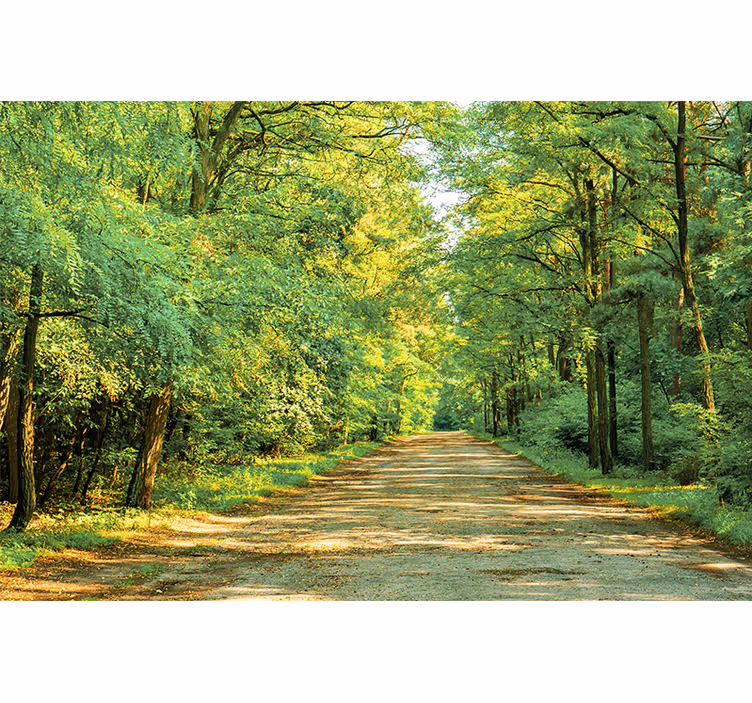 Carta da parati natura sentiero verde lussureggiante - TenStickers