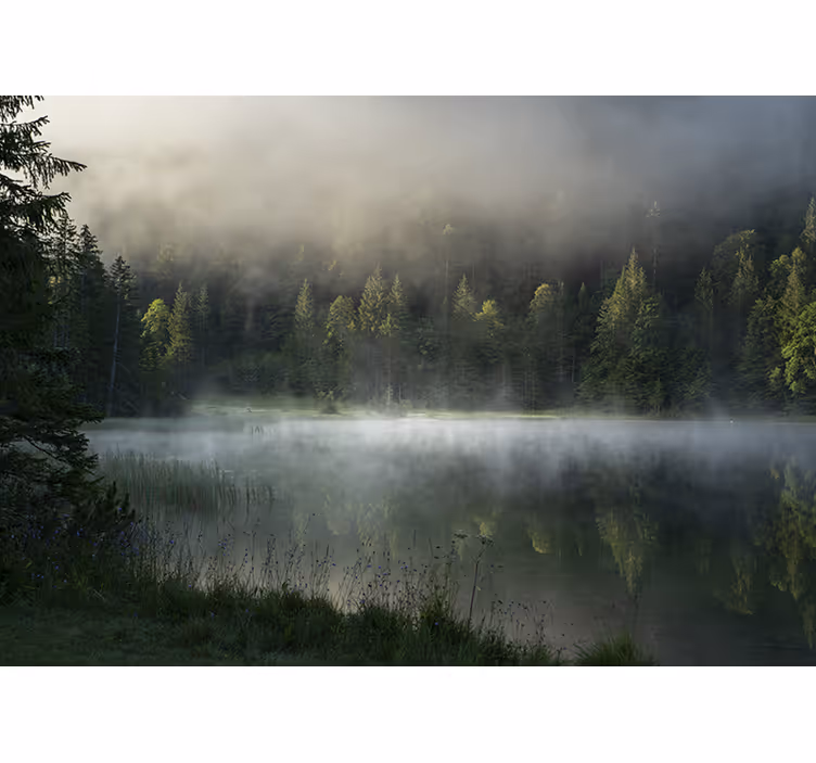 Fotomurali natura lago nebbioso e serene - TenStickers