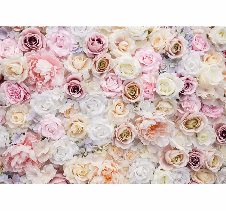 Fotomurale fiori collezione fiori di rosa - TenStickers
