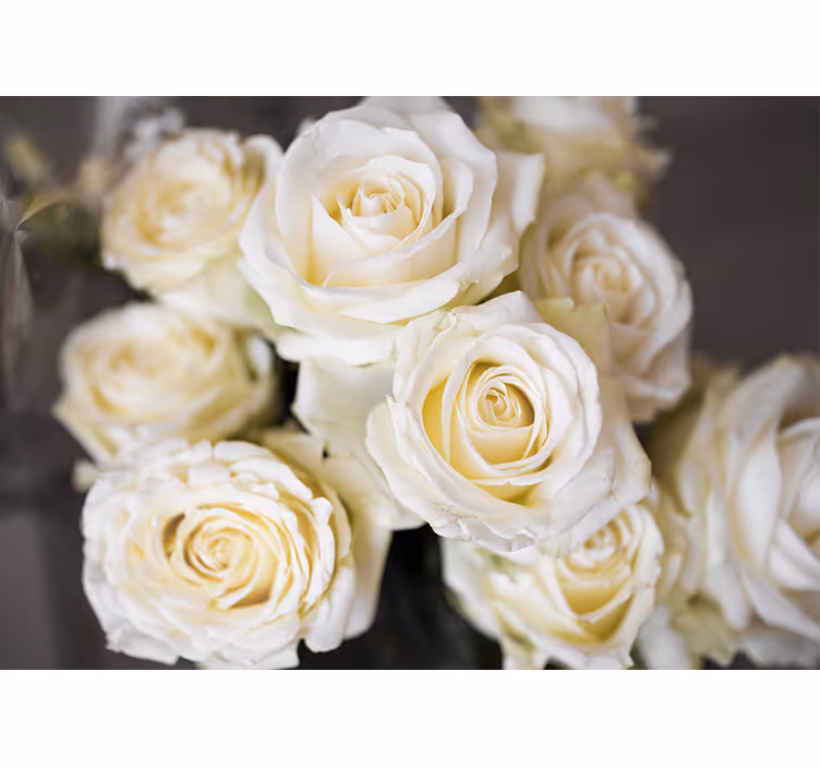 Fotomurale fiori rose bianche eleganti - TenStickers