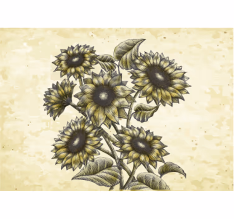 Fotomurale fiori composizione floreale girasole - TenStickers