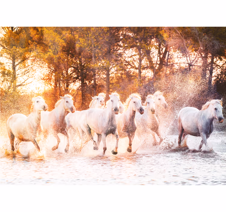 Fotomurale animali cavalli maestosi in corsa - TenStickers