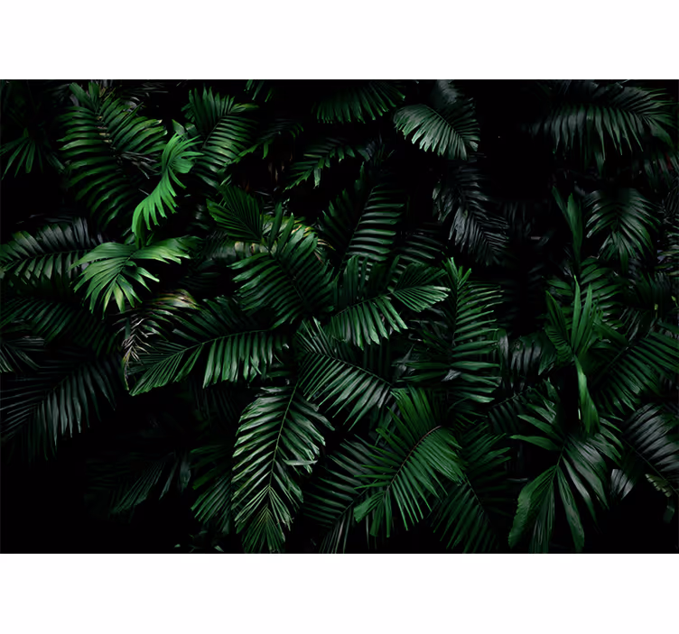Carta da parati giungla foliame verde vivo - TenStickers