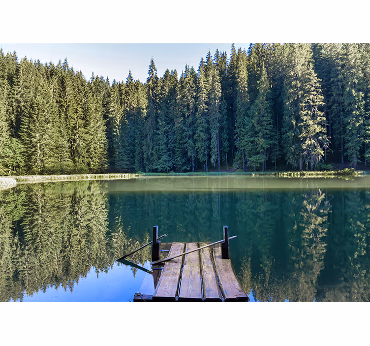 Fotomurali natura riflesso di bosco sereno - TenStickers