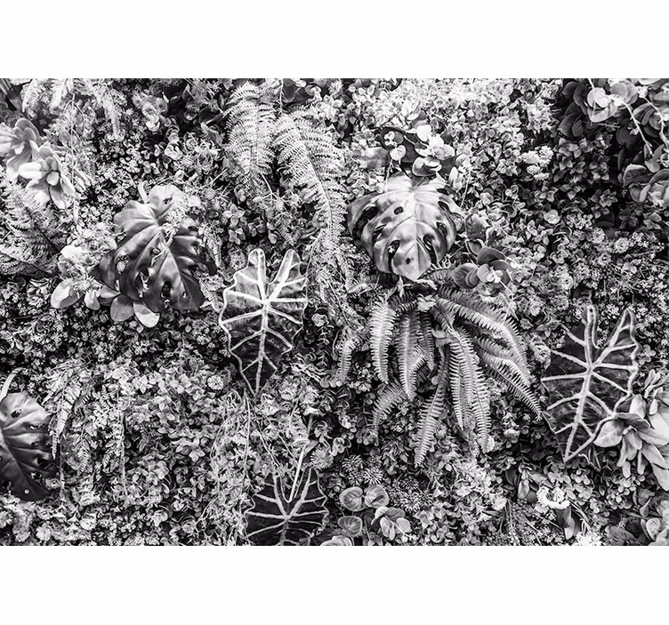 Fotomurali natura strati di verde testurizzati - TenStickers