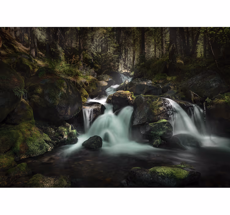 Fotomurali cascate ruscello di foresta tranquillo - TenStickers