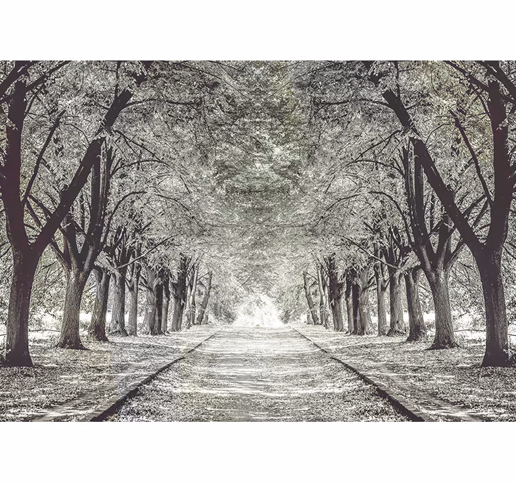 Fotomurali natura sentiero sereno tra gli alberi - TenStickers