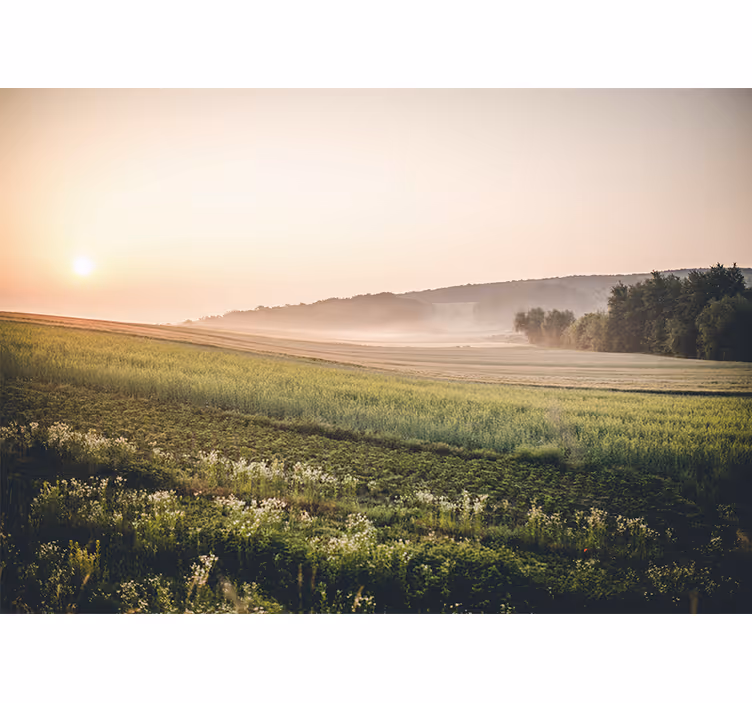 Fotomurale paesaggi prati verdi e tranquilli - TenStickers