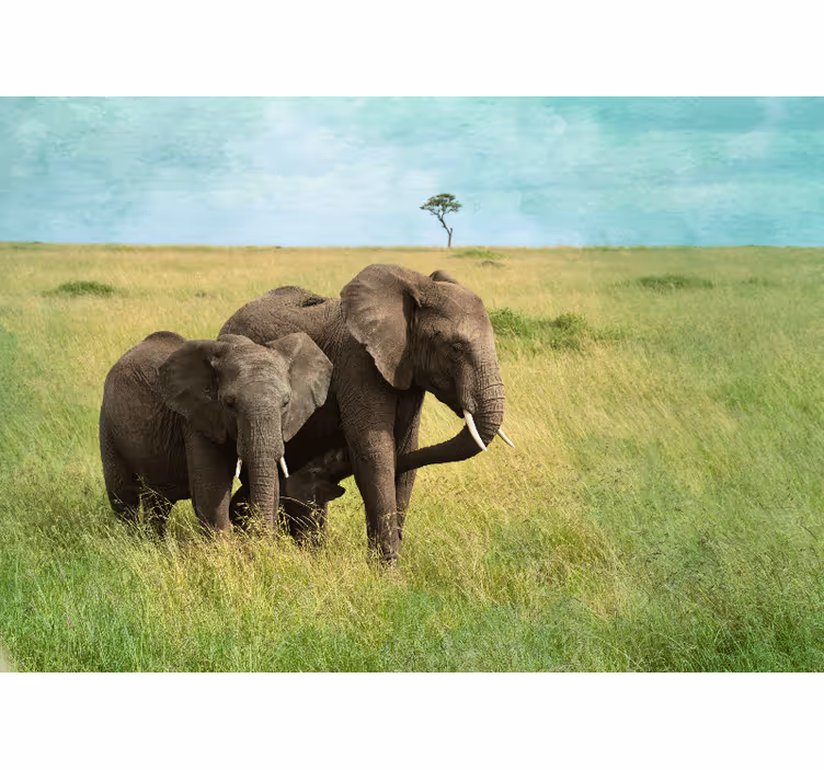 Fotomurale animali elefanti nella prateria - TenStickers