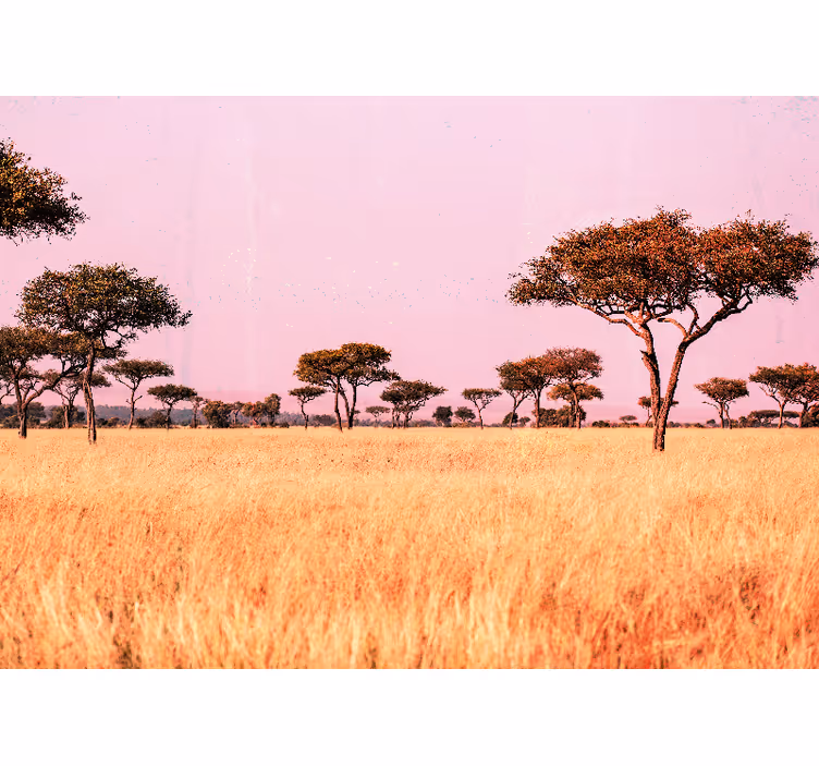 Fotomurale paesaggi paesaggio sereno della savana - TenStickers