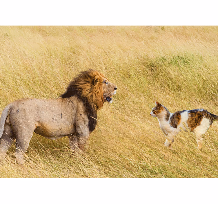 Fotomurali leone incontro con il gatto - TenStickers