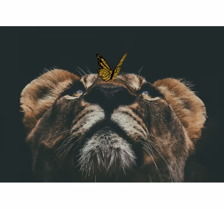 Fotomurali leone cucciolo con farfalla - TenStickers
