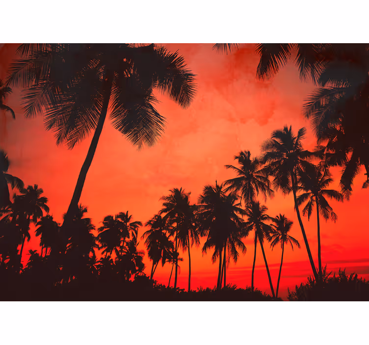 Fotomurali natura silhouette di palme - TenStickers