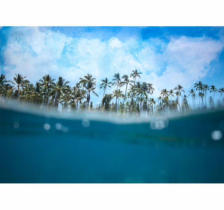 Fotomurali natura orizzonte di palme - TenStickers