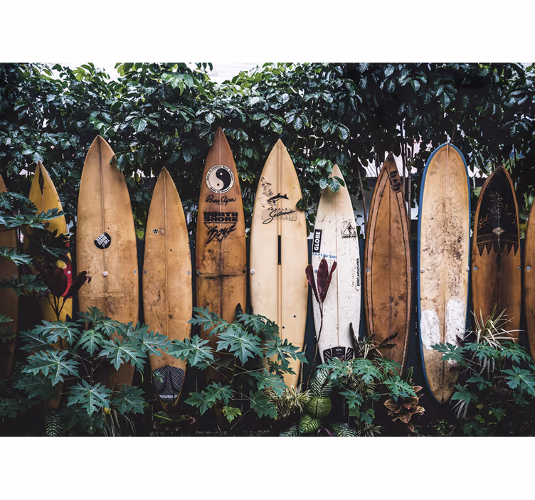 Fotomurale veicoli tavole da surf in esposizione - TenStickers
