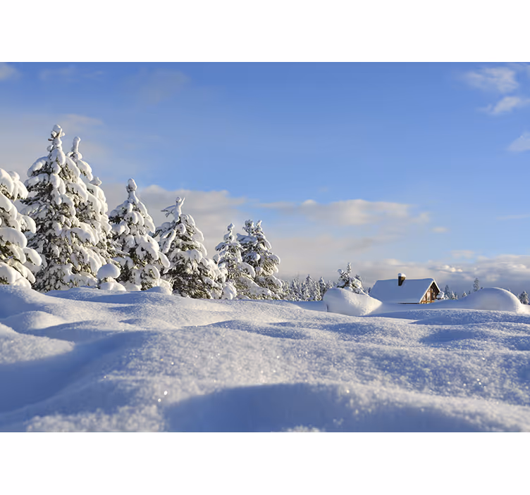 Fotomurale paesaggi scena invernale innevata - TenStickers