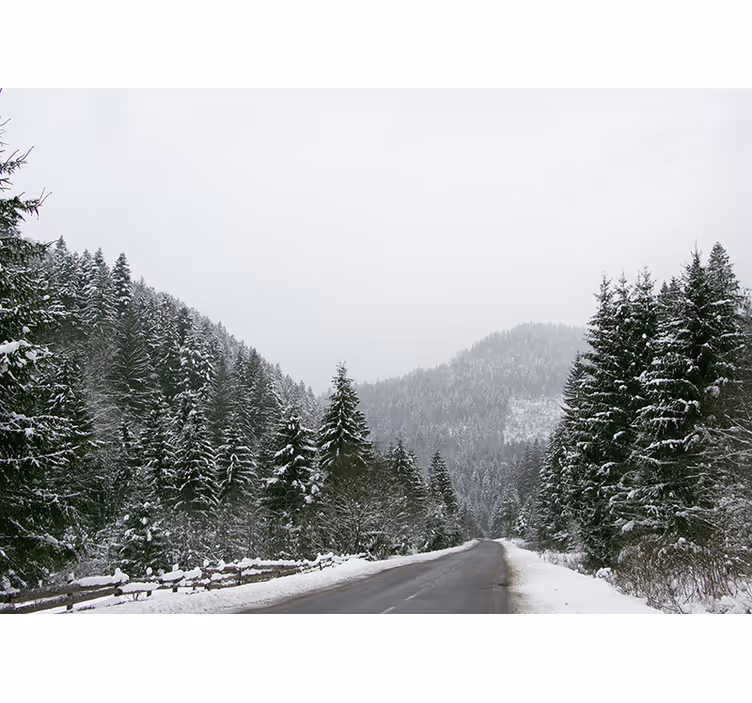 Fotomurale montagna paesaggio di montagna ghiacciata - TenStickers