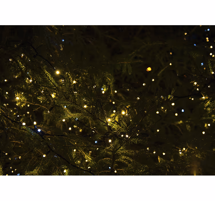 Fotomurale di natale luci festive per alberi - TenStickers