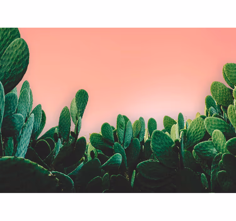 Fotomurali natura paesaggio di cactus - TenStickers