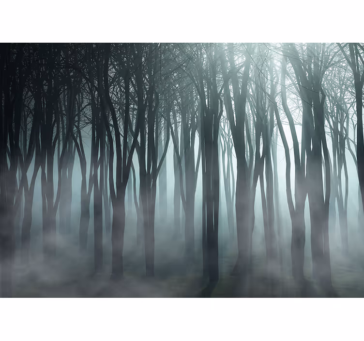 Fotomurale foresta sagoma di alberi nebbiosi - TenStickers