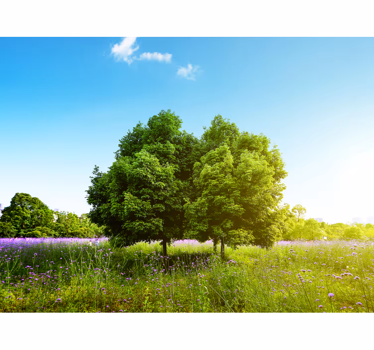 Fotomurali natura alberi verdi lussureggianti - TenStickers