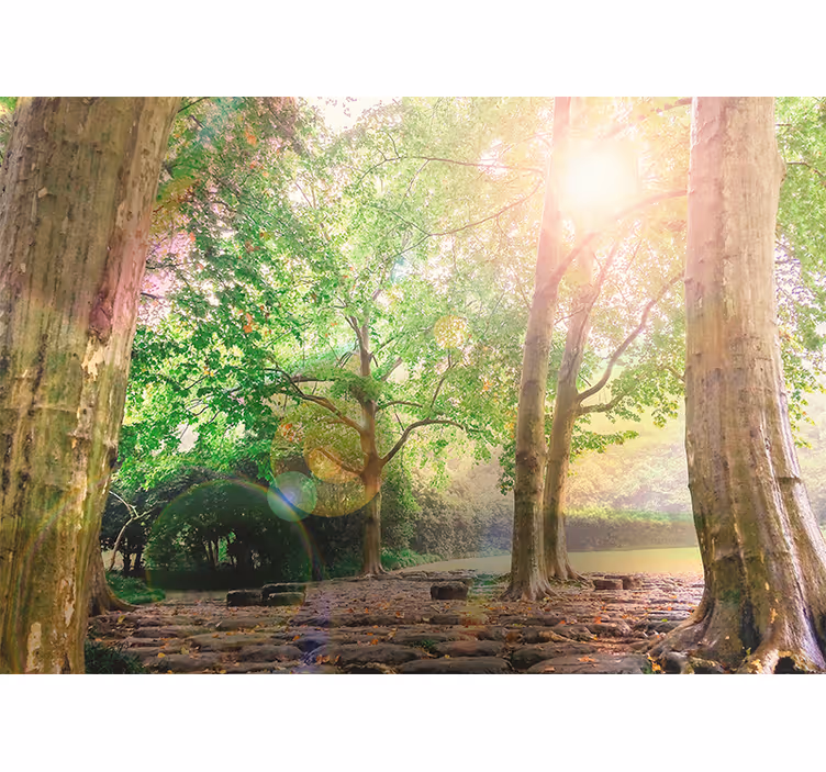 Carta da parati natura serenità di verde lussureggiante - TenStickers
