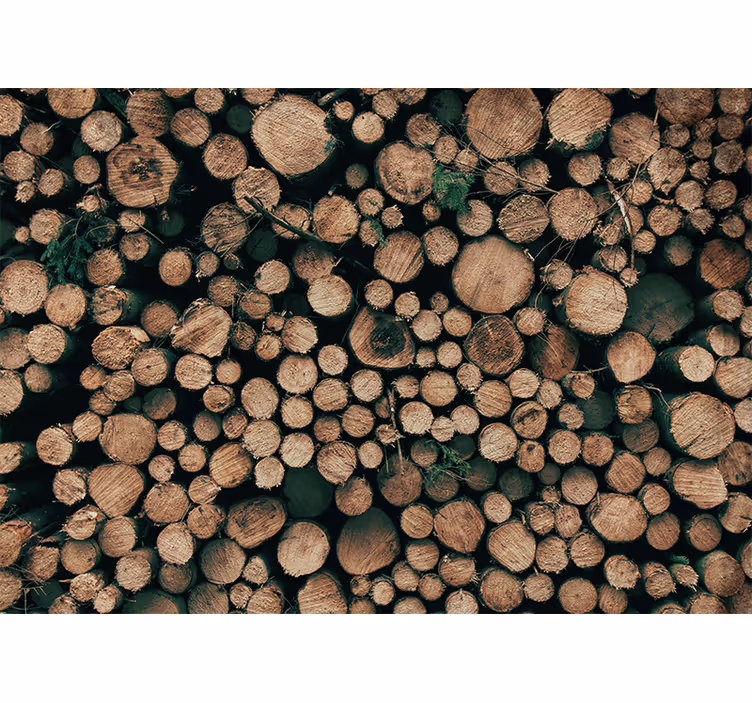 Fotomurali pietra mucchio di tronchi in legno - TenStickers