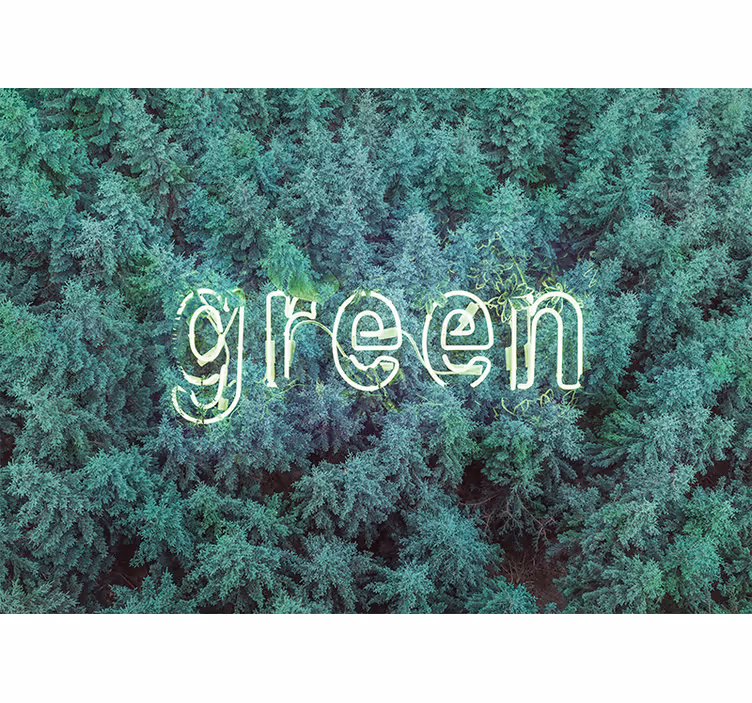 Fotomurali natura scritta nella foresta verde - TenStickers