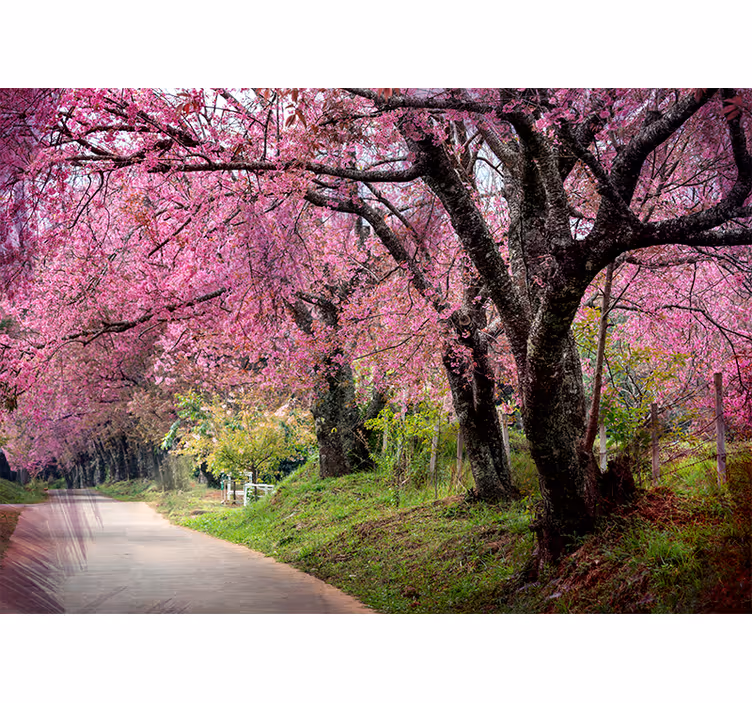Fotomurale fiori sentiero in fiore - TenStickers