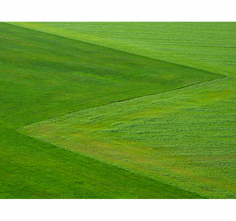 Fotomurali natura campi verdi puri - TenStickers