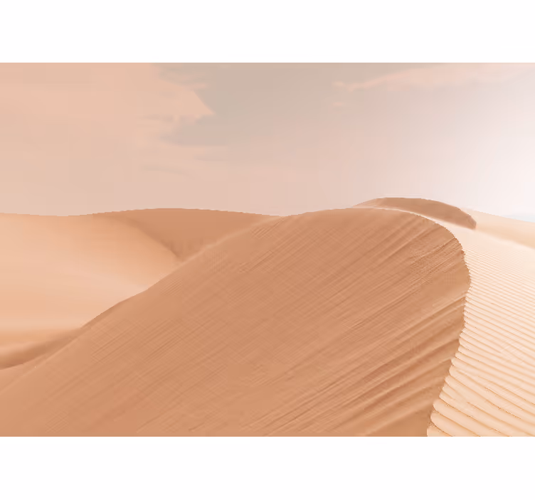 Fotomurale deserto dune di sabbia morbida - TenStickers