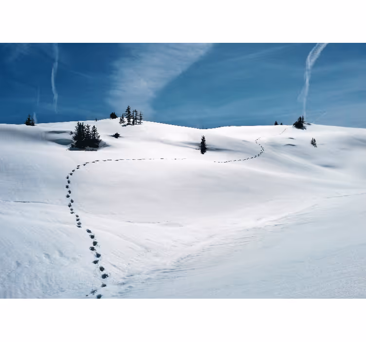 Fotomurale montagna sentiero di montagna innevato - TenStickers