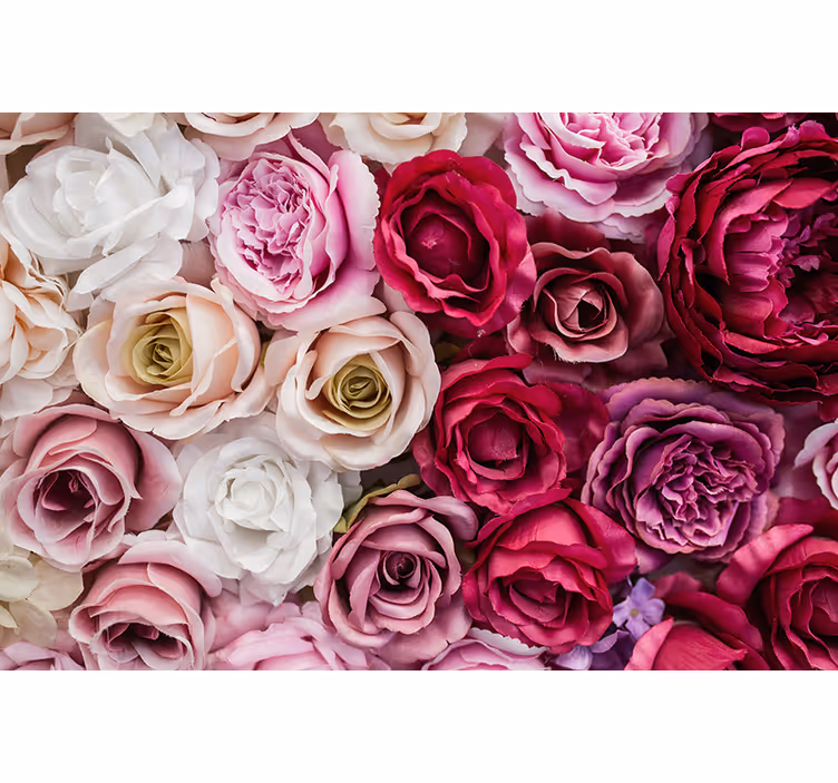 Fotomurale fiori collezione di rose belle - TenStickers