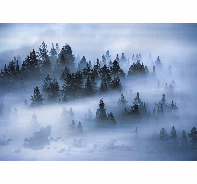 Fotomurali natura boschi sempreverdi foschi - TenStickers