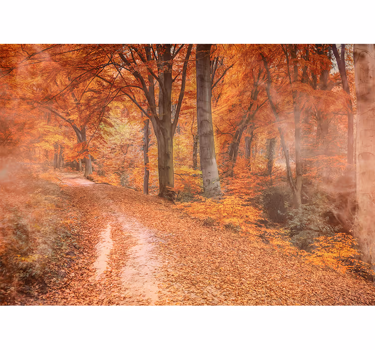 Carta da parati natura sentiero d'autunno - TenStickers