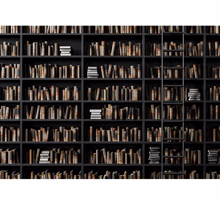 Fotomurali pietra assortimento di libri biblioteca - TenStickers