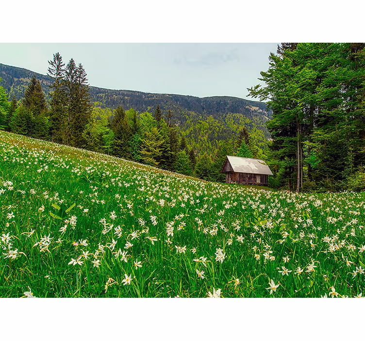 Fotomurali natura paesaggio pastorale serene - TenStickers