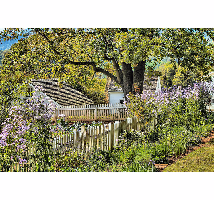 Fotomurale paesaggi vista di un giardino sereno - TenStickers