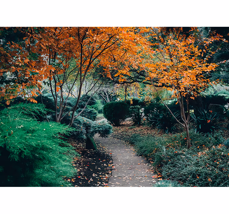 Fotomurali natura sentiero tra gli alberi - TenStickers