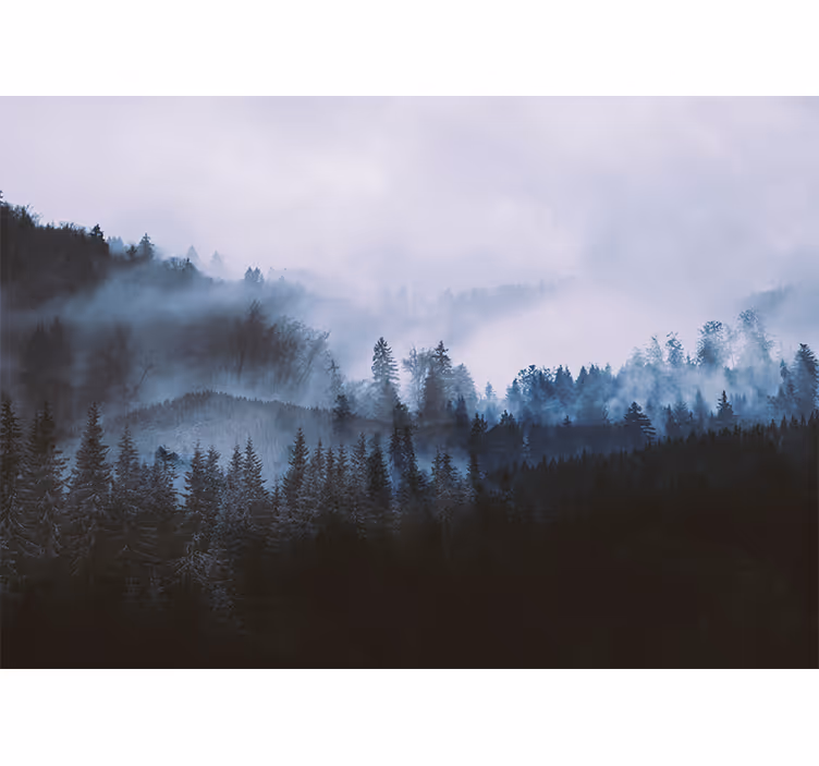 Carta da parati foresta paesaggio di conifere nebbioso - TenStickers